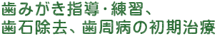 歯みがき指導・練習、歯石除去、歯周病の初期治療