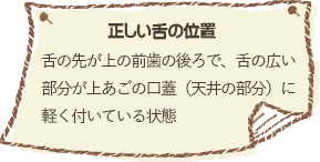 正しい舌の位置 舌の先が上の前歯の後ろで、舌の広い部分が上あごの口蓋（天井の部分）に軽く付いている状態