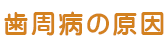 ご存知ですか？歯周病の原因
