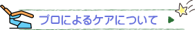 プロによるケアについて